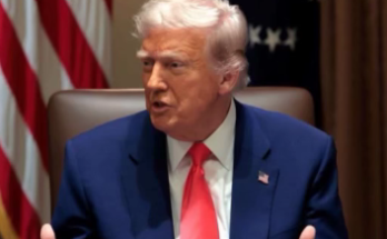 Cameron Hamilton former acting FEMA head