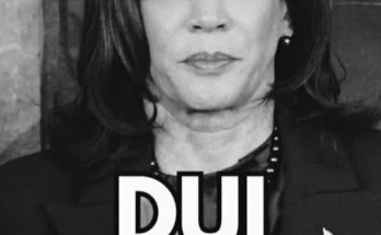 Kamala Harris campaign loss Kamala Harris election Donald Trump election victory Joe Biden withdrawal Willie Brown criticism Harris campaign strategy US presidential election Democratic campaign analysis