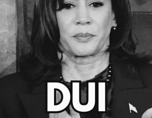 Kamala Harris campaign loss Kamala Harris election Donald Trump election victory Joe Biden withdrawal Willie Brown criticism Harris campaign strategy US presidential election Democratic campaign analysis