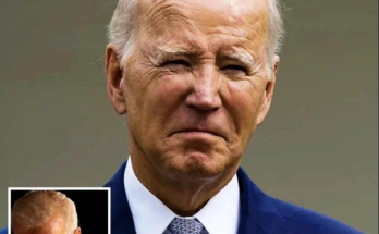 Joe Biden stabbing incident Ilhan Omar statement Tara Reade allegations Donald Trump politics US political violence Washington political news presidential security concerns American political crisis