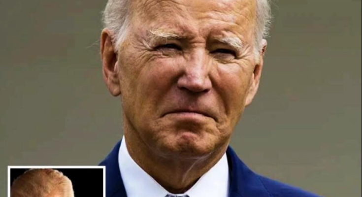 Joe Biden stabbing incident Ilhan Omar statement Tara Reade allegations Donald Trump politics US political violence Washington political news presidential security concerns American political crisis