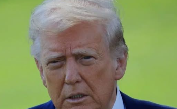 Trump safety, Donald Trump news, pray for Trump message, Trump supporters online, political social media trends, Donald Trump updates, online political discussion, Trump supporters reactions