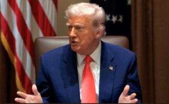 Cameron Hamilton FEMA dismissal news