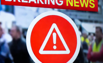 Police lights outside Chicago crime scene