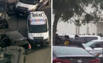 Illegal alien arrested after hit and run leaving news update an undocumented immigrant is now in