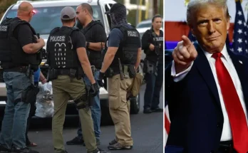 Pierre Reginald Boulos in immigration court