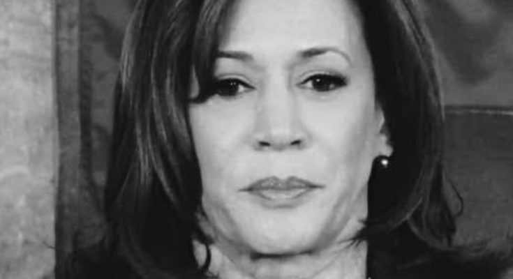 Kamala Harris election loss analysis Donald Trump victory US election strategy campaign missteps Willie Brown comments Hillary Clinton comparison voter behavior analysis political campaign insights