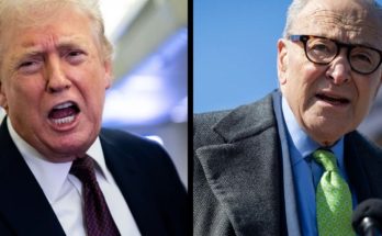 Trump speaks on ICE airport deployment