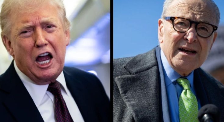 Trump speaks on ICE airport deployment