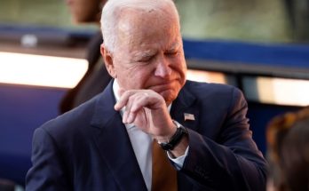 Tim Walz rise Minnesota governor