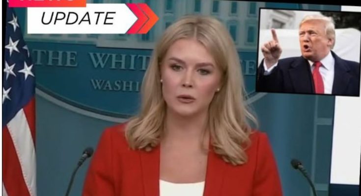 White House firing US attorneys notice