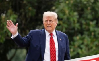 Able-bodied adult working to meet SNAP requirements