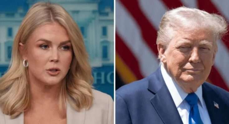 Democrats not standing Trump SOTU