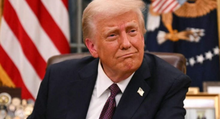 Trump tariff dividend