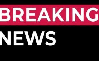 Michael J. Schumacher American writer portrait