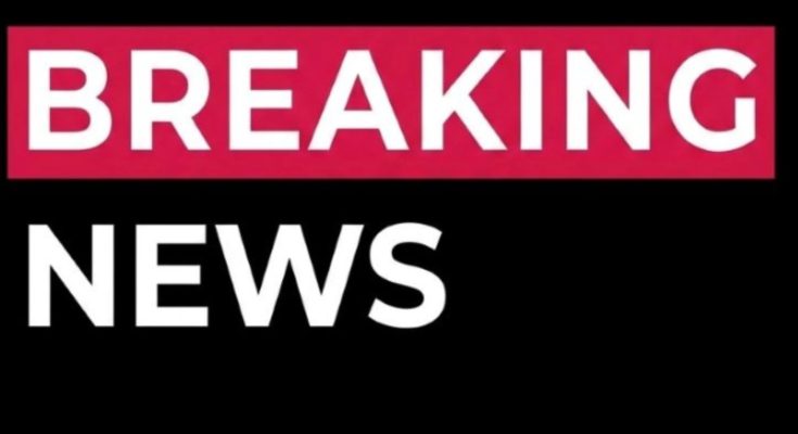 Michael J. Schumacher American writer portrait