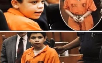 juvenile life without parole juvenile justice reform Lionel Tate case US juvenile sentencing children in prison US criminal justice reform youth rehabilitation programs juvenile sentencing laws