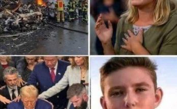 Trump assassination attempt collage