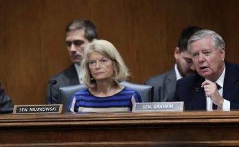 senator Lindsey Graham speaks at a Senate hearing, with nameplate visible and text